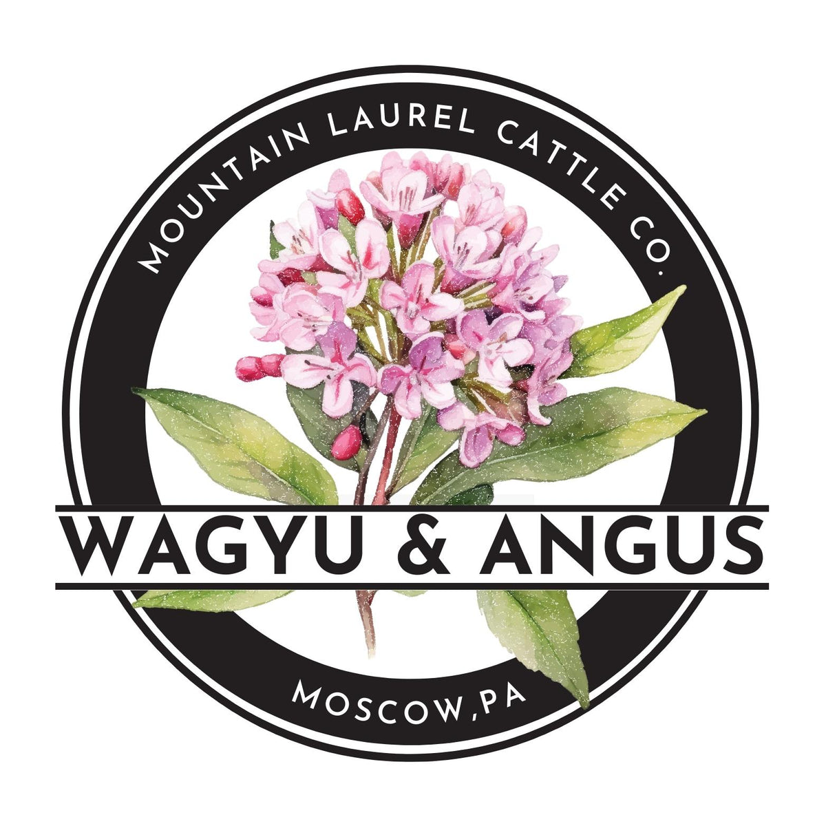 48 lbs - Black Angus Share